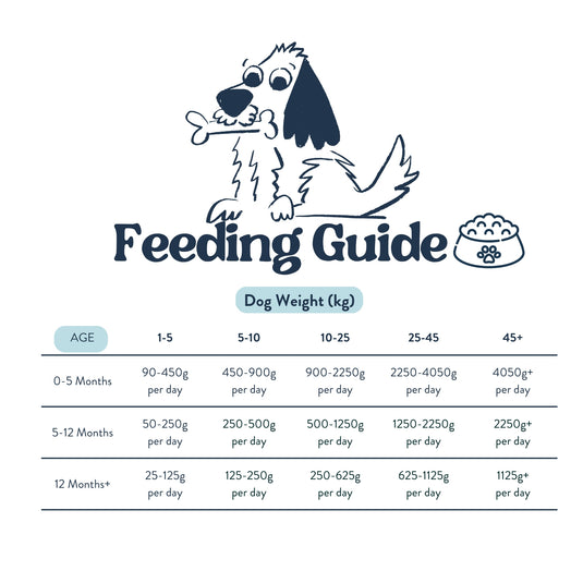 Feeding Guide