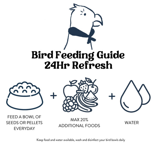 Feeding Guide