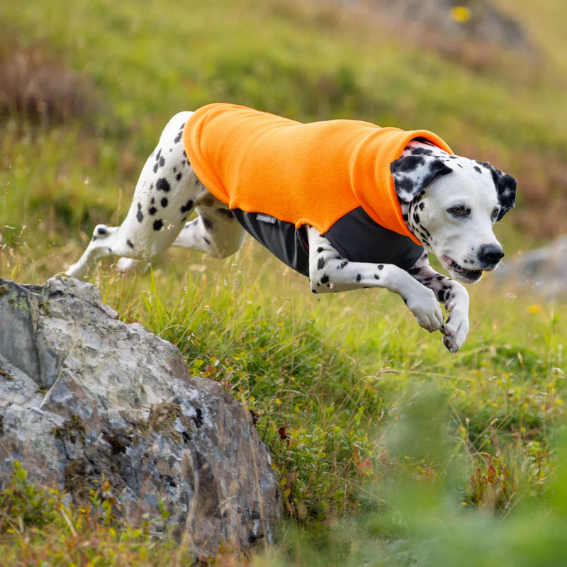 Load image into Gallery viewer, Doghouse fleece jumper with waterproof belly panel warm practical dog coat