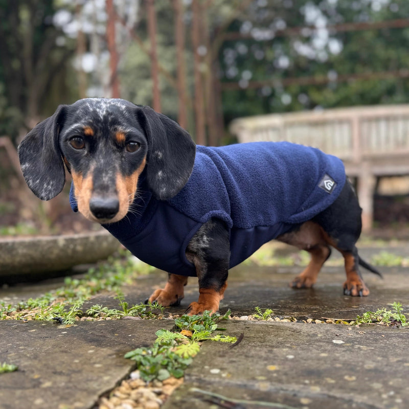 Load image into Gallery viewer, Doghouse Fleece Jumper with Waterproof Belly Panel – Warm & Practical Dog Coat