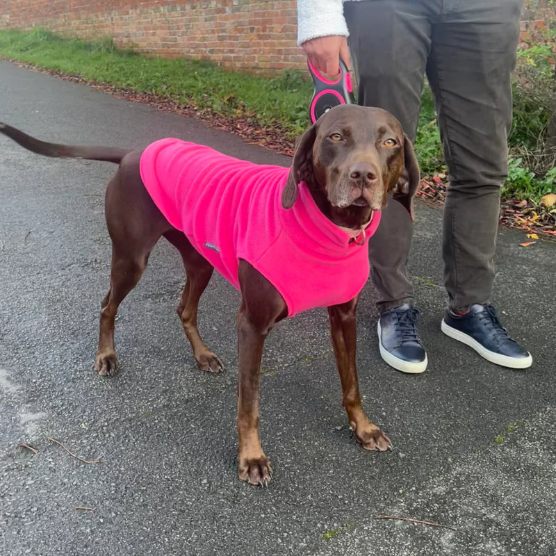 Load image into Gallery viewer, Doghouse Fleece Jumper – Warm & Cosy Dog Jumper