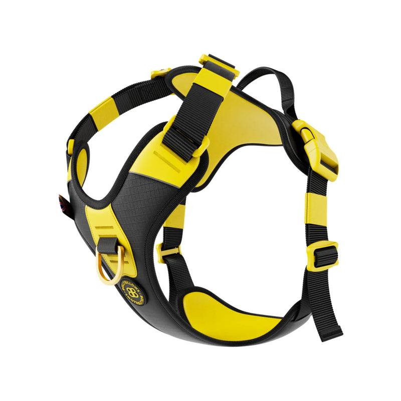 Load image into Gallery viewer, Bully Billows Anti Pull Hurricane Harness Lighter | With Handle