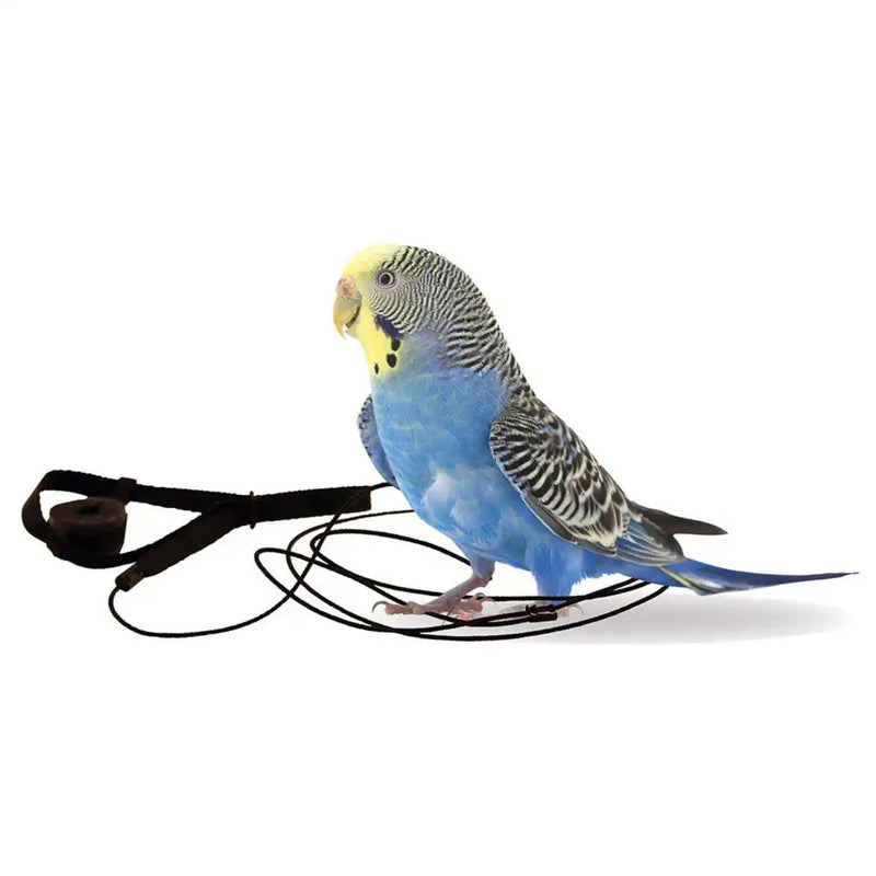 Load image into Gallery viewer, Aviator Bird Harness & Leash
