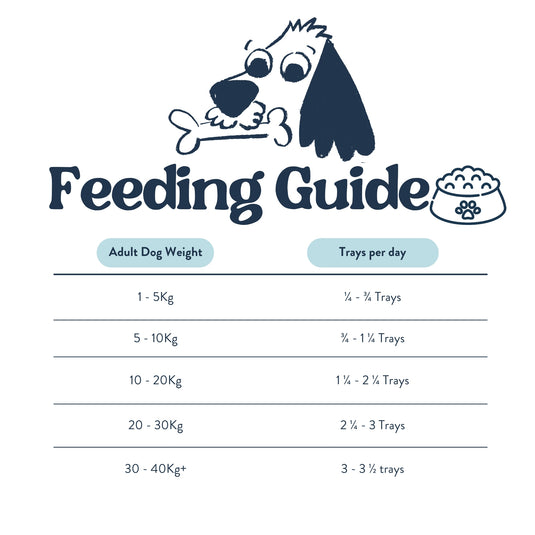 Feeding Guide