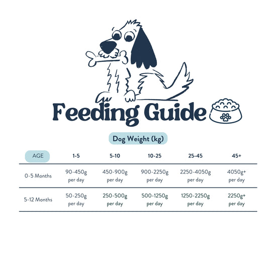 Feeding Guide