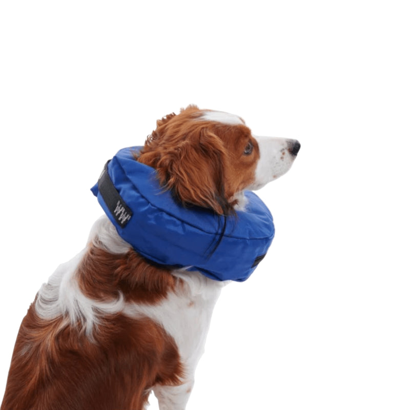 Load image into Gallery viewer, Buster Inflatable Collar – Blue – Comfortable Recovery Collar for Dogs