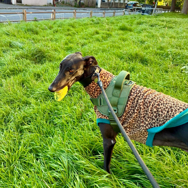 Load image into Gallery viewer, Doghouse Wild Animal Fleece – Warm & Fun Dog Fleece Jumper