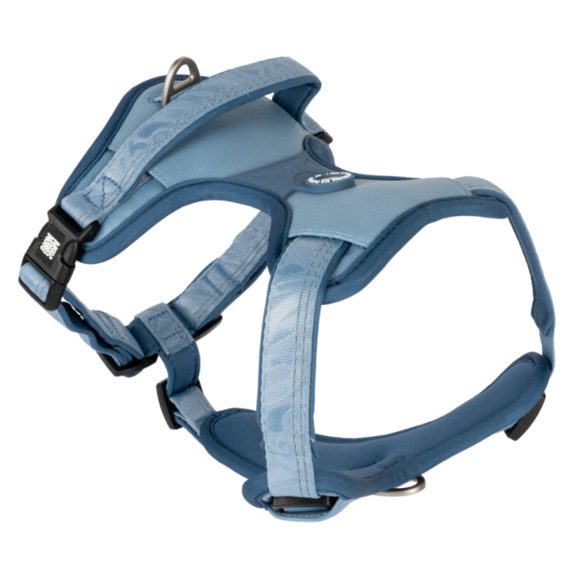 Load image into Gallery viewer, Max & Molly Matrix 2.0 GOTCHA! Smart ID Sport Harness