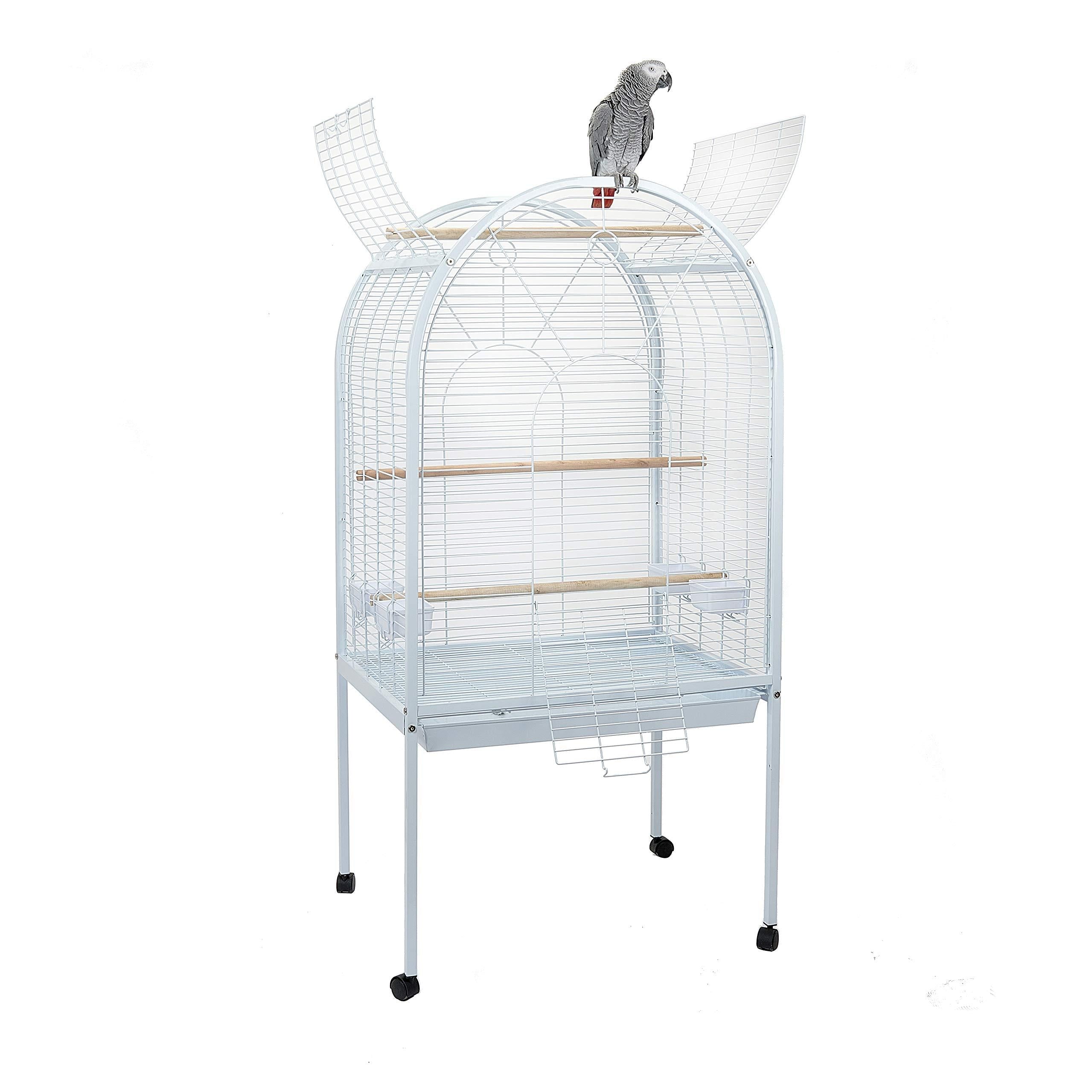 Apollo Parrot Cage – spacious, secure, and durable bird enclosure for ...