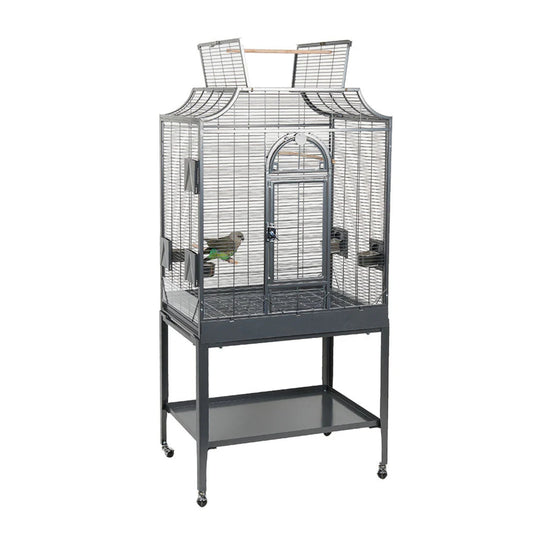Amazona II Cage – large bird cage with multiple perches for parrots, cockatiels, and small birds