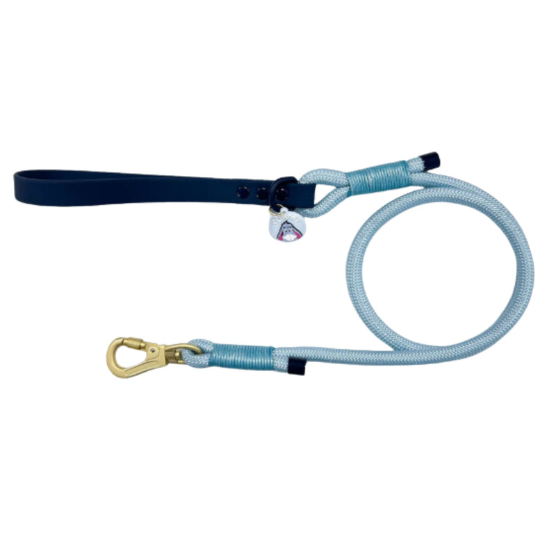 Load image into Gallery viewer, Pawsome Boutique Winne the Pooh Rope Lead