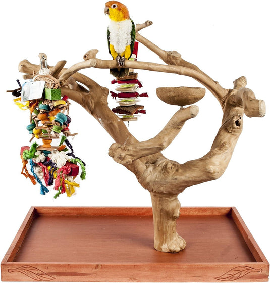 Java Mini Tree Medium – Natural Wooden Perch & Play Stand for Medium Parrots