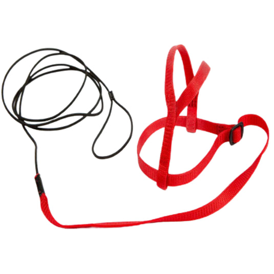 Adventure Bird Harness XS