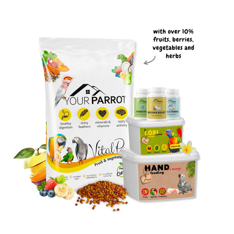 Your Parrot: The Importance of Vital Pellets & Supplements for Parrot Health