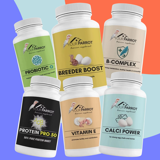 Your Complete Guide to Your Parrot Supplements: What They Do & When to Use Them