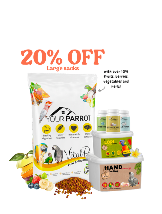Your Parrot Food