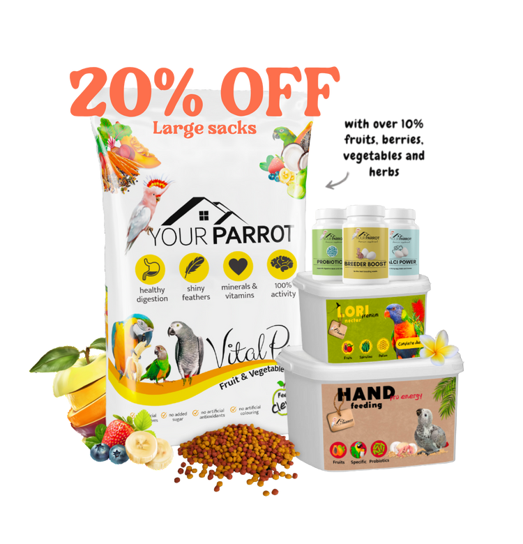 Your Parrot Food