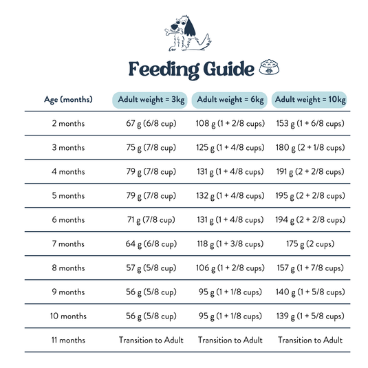 Feeding Guide