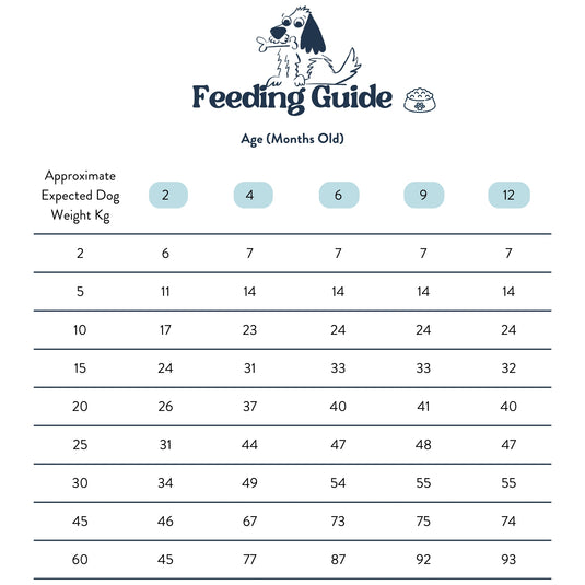 Feeding Guide