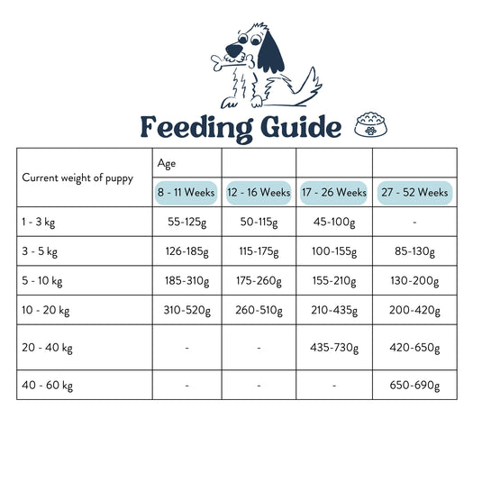 Feeding Guide