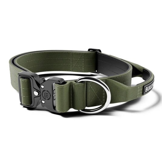 Bully Billows Combat Collar 5cm Width
