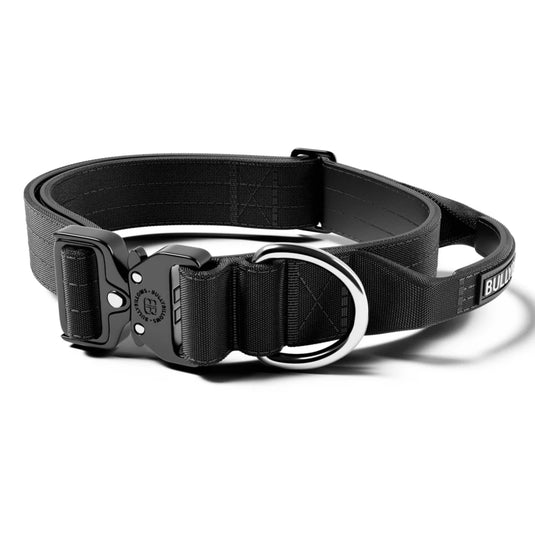Bully Billows Combat Collar 5cm Width