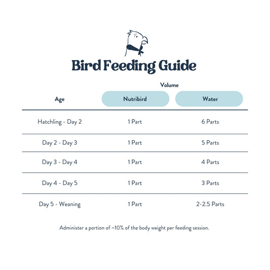 Feeding Guide