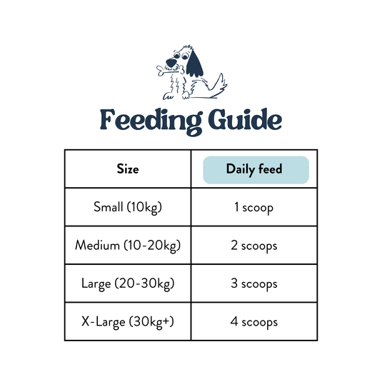 Feeding Guide