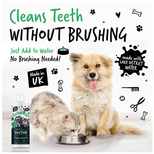 Bugalugs Dental Care Solution 250ml – Oral Hygiene for Dogs & Cats