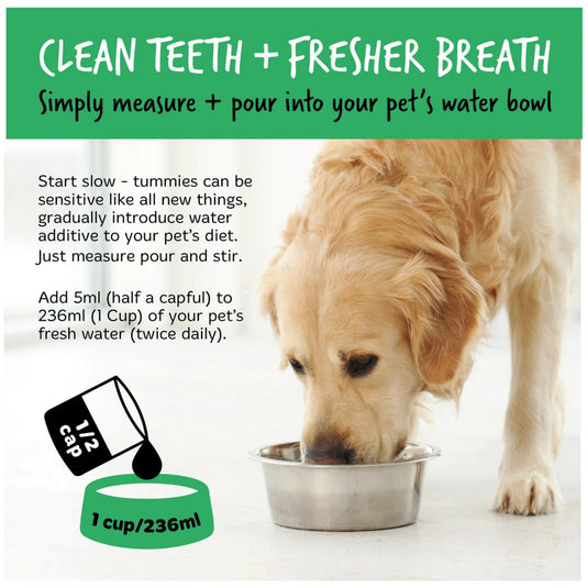 Bugalugs Dental Care Solution 250ml – Oral Hygiene for Dogs & Cats