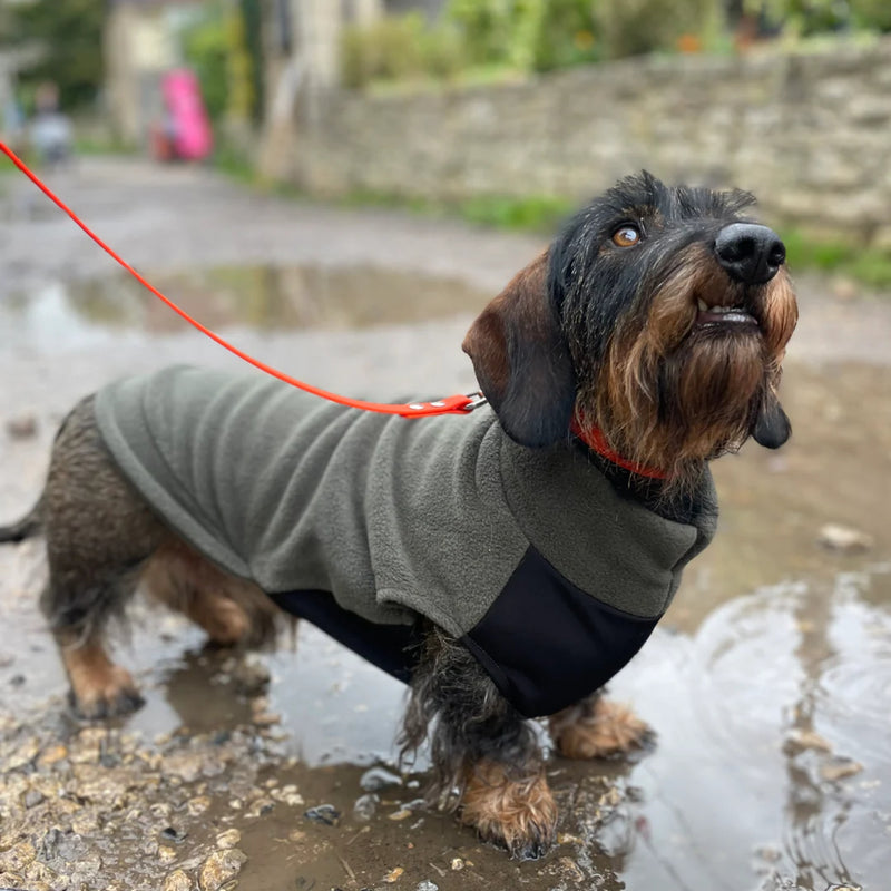 Load image into Gallery viewer, Doghouse Fleece Jumper with Waterproof Belly Panel – Warm &amp; Practical Dog Coat

