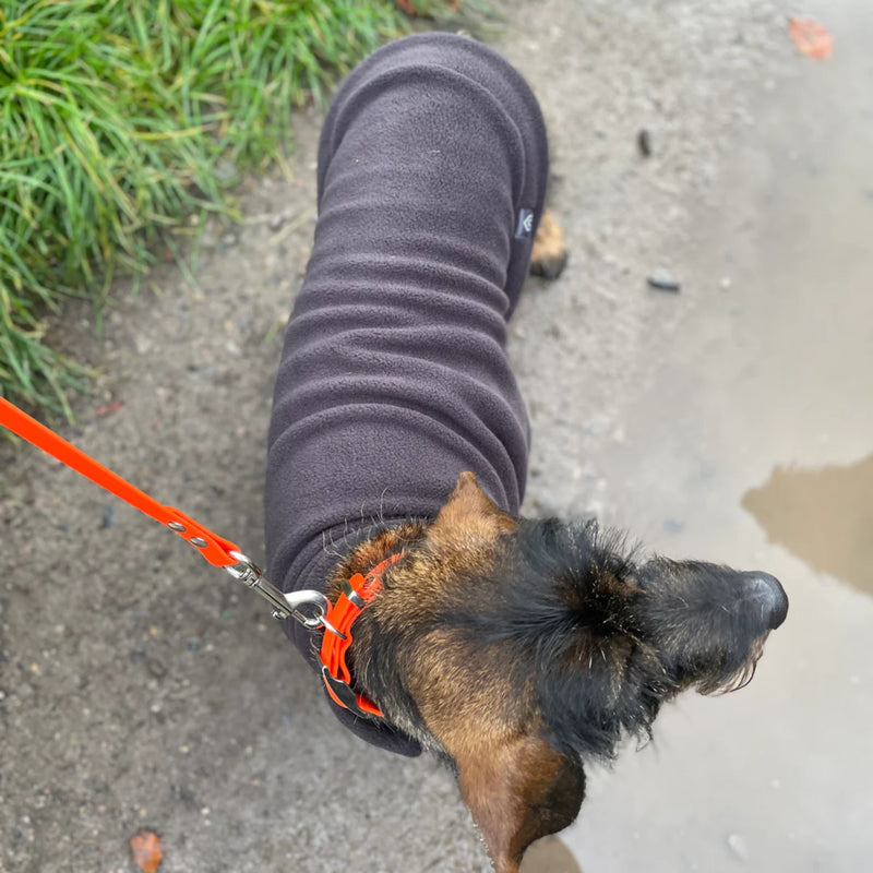 Load image into Gallery viewer, Doghouse Fleece Jumper with Waterproof Belly Panel – Warm &amp; Practical Dog Coat
