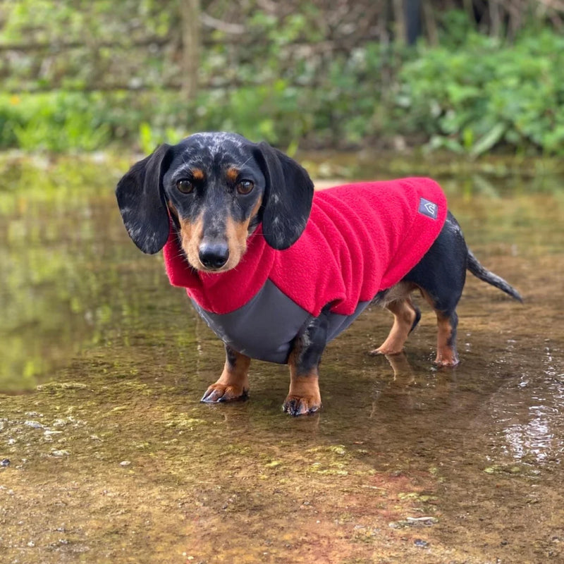 Load image into Gallery viewer, Doghouse Fleece Jumper with Waterproof Belly Panel – Warm &amp; Practical Dog Coat
