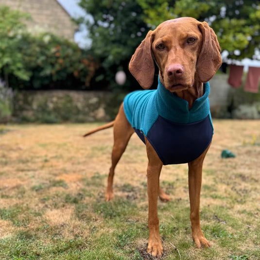 Doghouse Fleece Jumper with Waterproof Belly Panel – Warm & Practical Dog Coat