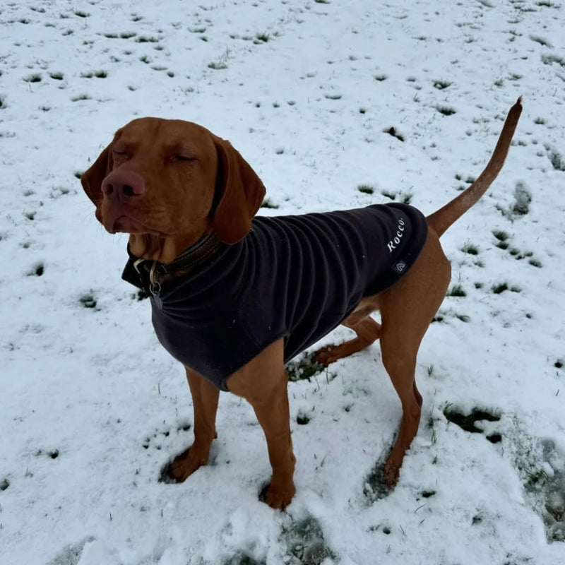 Load image into Gallery viewer, Doghouse fleece jumper warm cosy dog jumper
