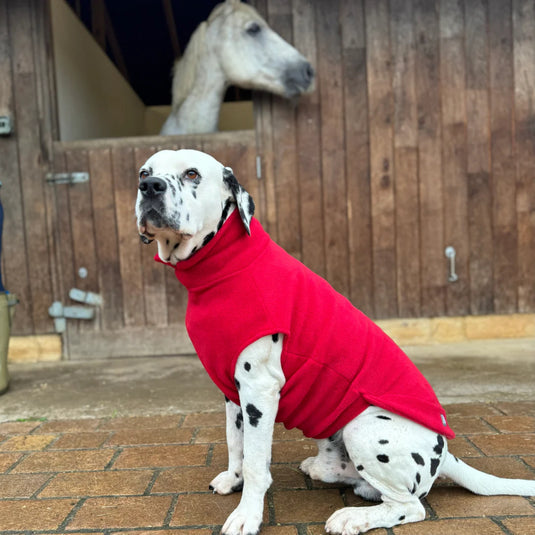 Doghouse Fleece Jumper – Warm & Cosy Dog Jumper