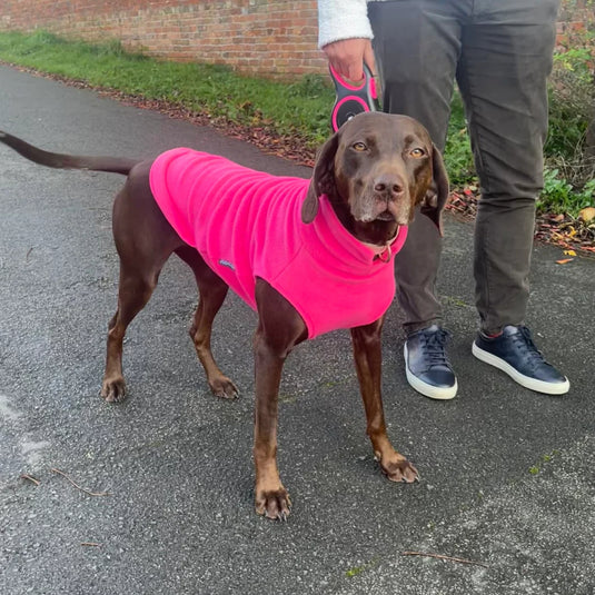 Doghouse Fleece Jumper – Warm & Cosy Dog Jumper