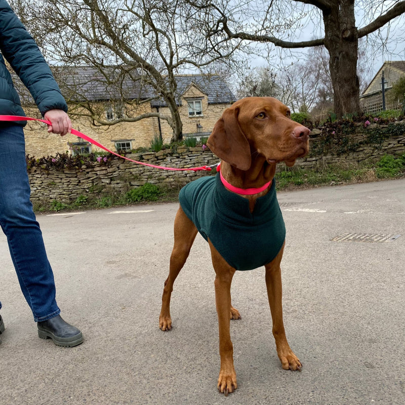 Load image into Gallery viewer, Doghouse Fleece Jumper – Warm &amp; Cosy Dog Jumper
