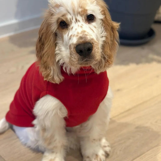 Doghouse Fleece Jumper – Warm & Cosy Dog Jumper