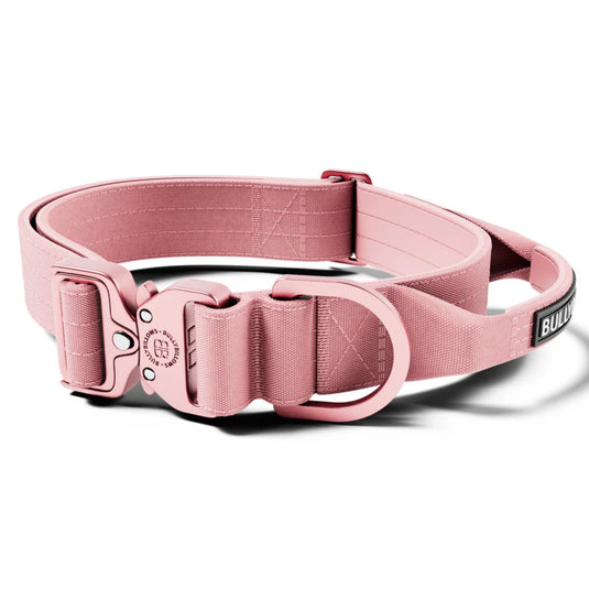 Bully Billows Lighter Combat Collar 4cm Width