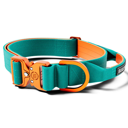 Bully Billows Lighter Combat Collar 5cm Width