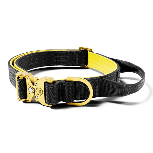 Bully Billows Lighter Combat Collar 2.5cm Width