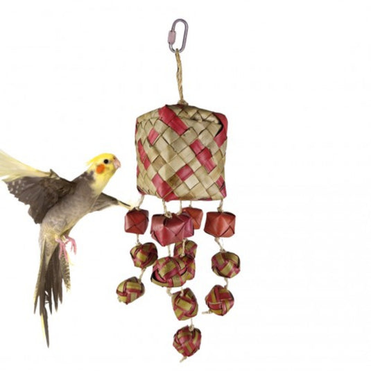 Back Zoo Nature Surprise Box enrichment foraging toy for birds