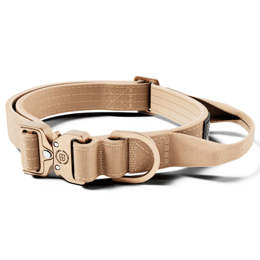 Bully Billows Lighter Combat Collar 2.5cm Width