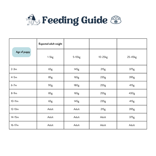 Feeding Guide