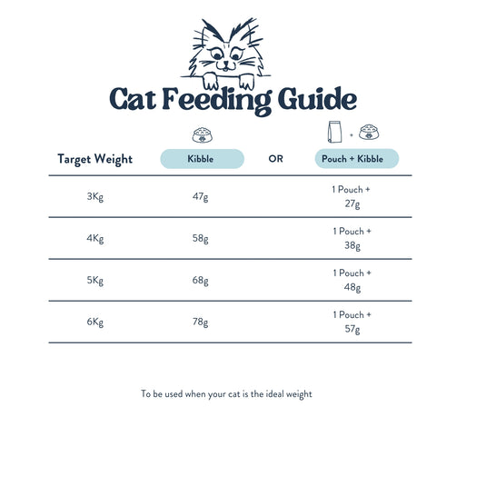 Feeding Guide