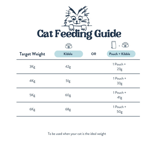 Feeding Guide