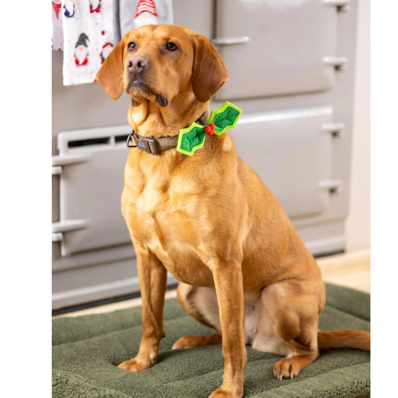 Load image into Gallery viewer, House of Paws Holly Bow Tie for Dogs
