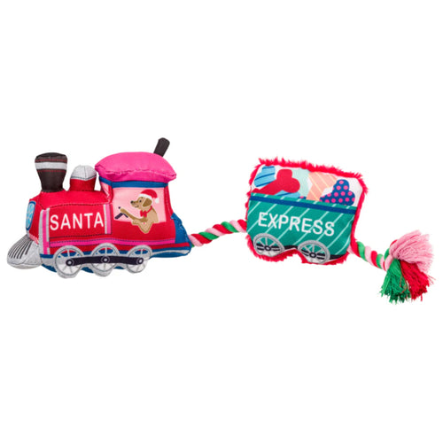 (X) House Of Paws Merry & Bright Santa Paws Express
