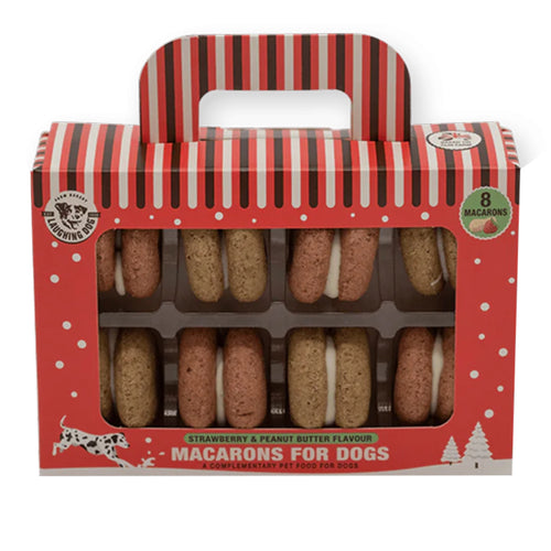 Laughing Dog - Christmas Macarons
